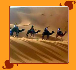 Princely Rajasthan Tour Package