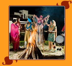  Lohri Festivals