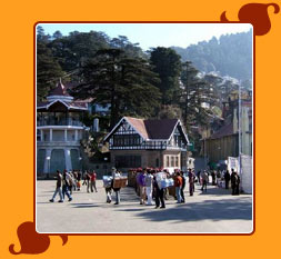 Shimla